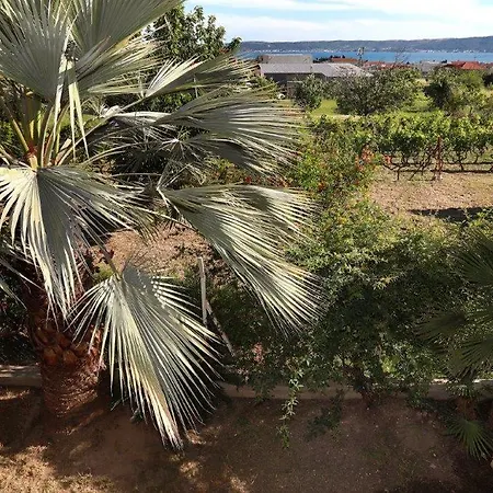 Mediterranean Breeze *
